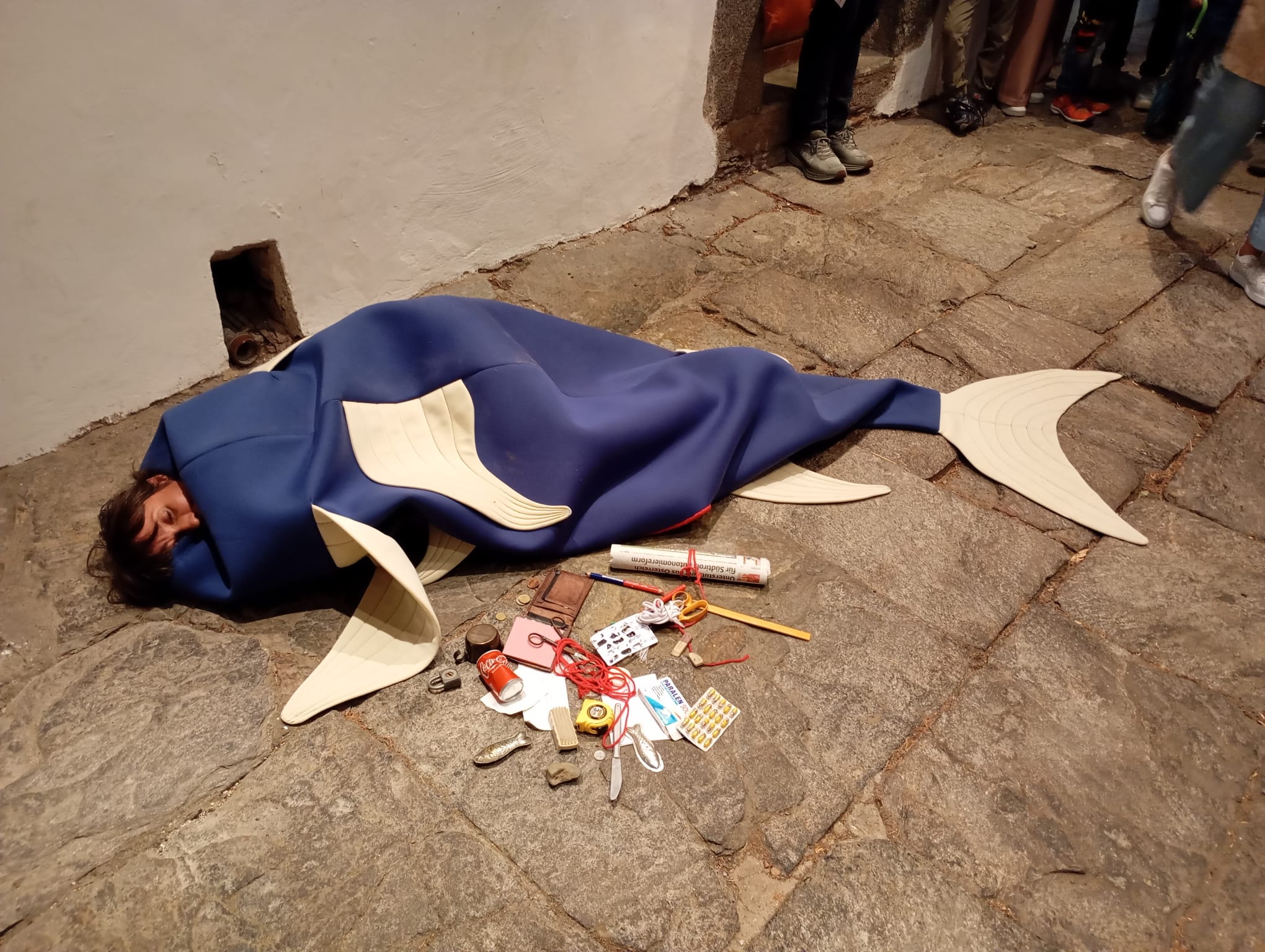 EKotatkova_Ein von der Sonne geblendeter Fisch_Foto Frida Carazzato_05