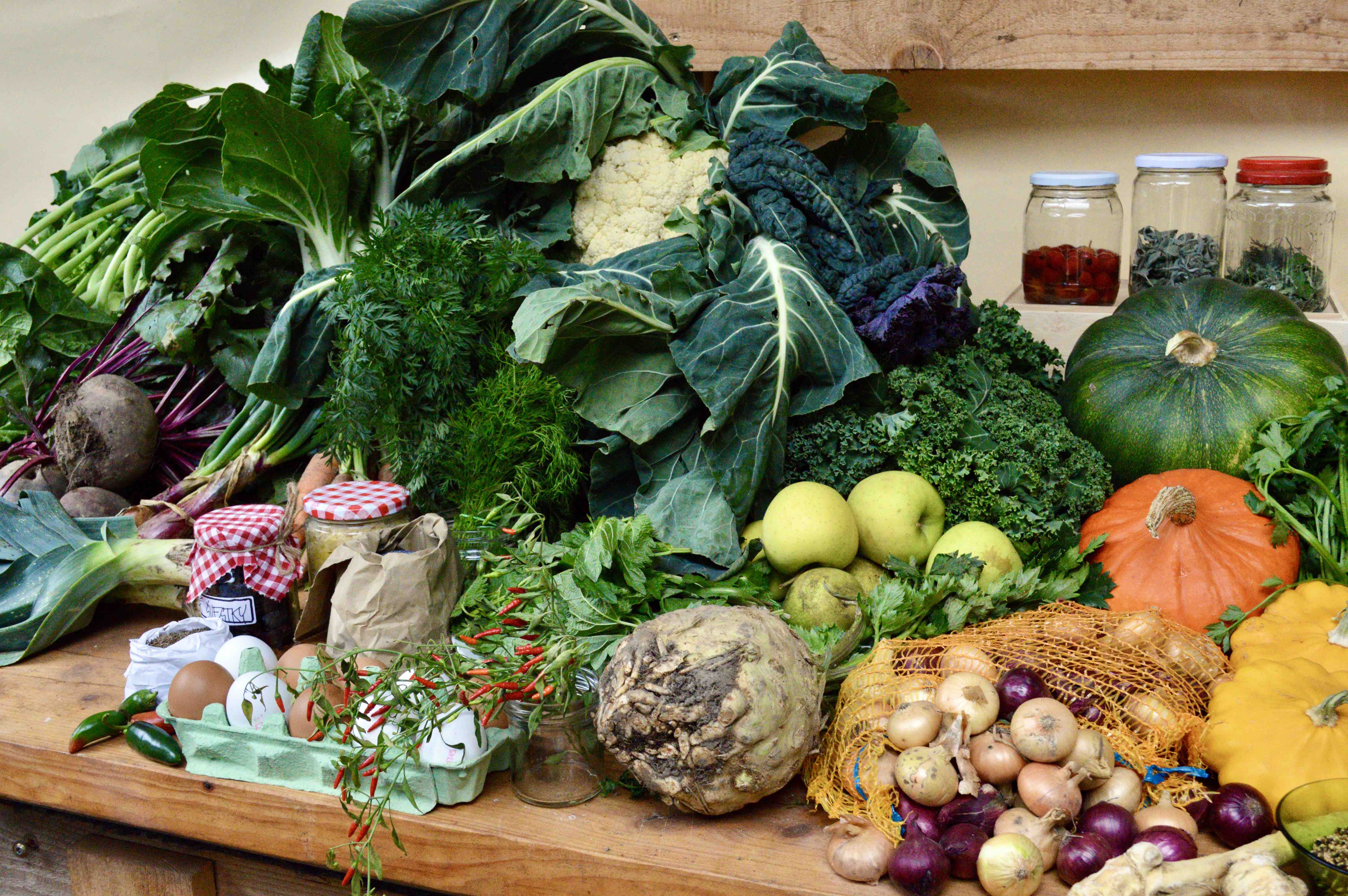 workshop_woods ©mario framis pujol 1 