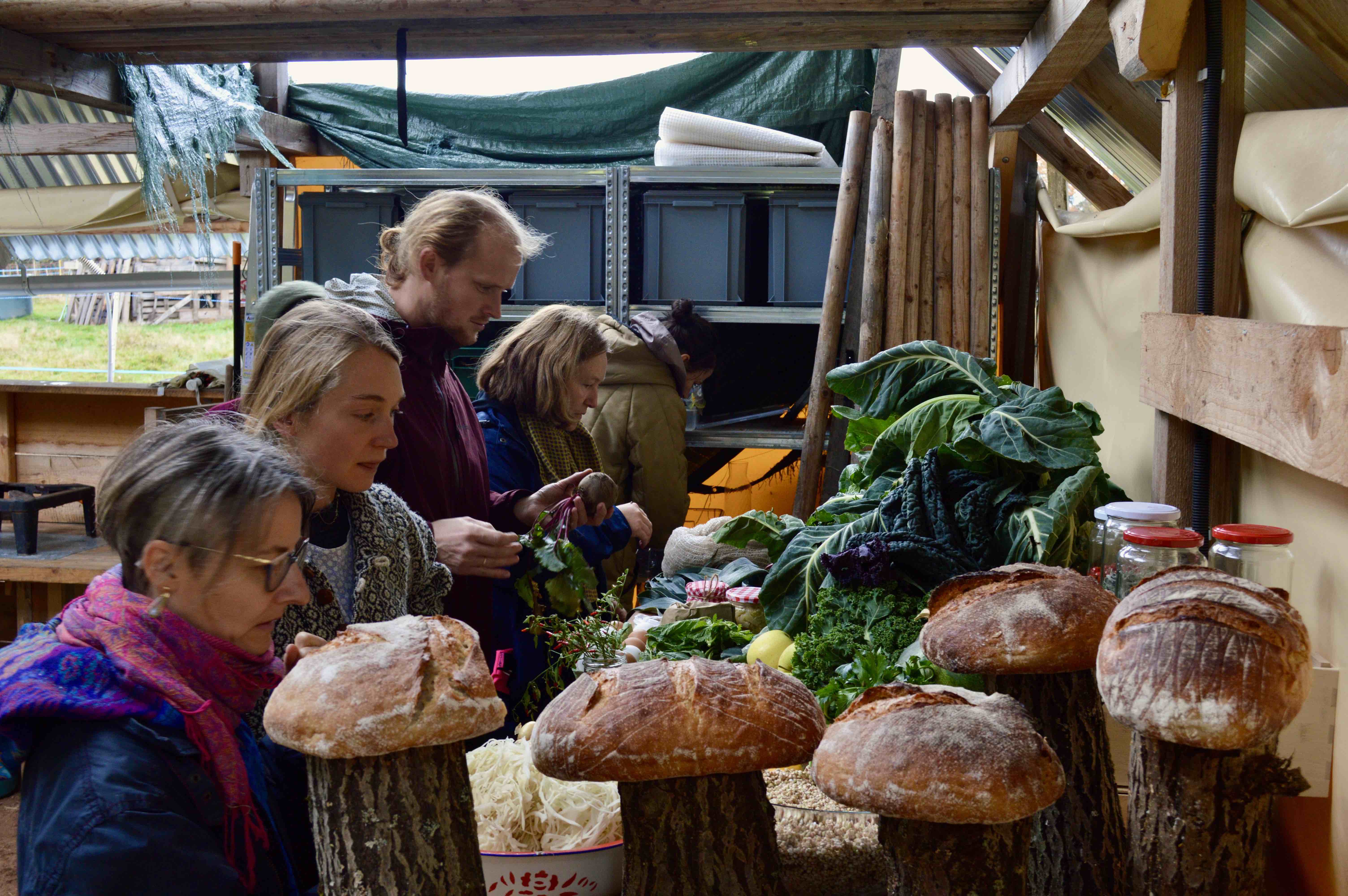 workshop_woods ©mario framis pujol 2